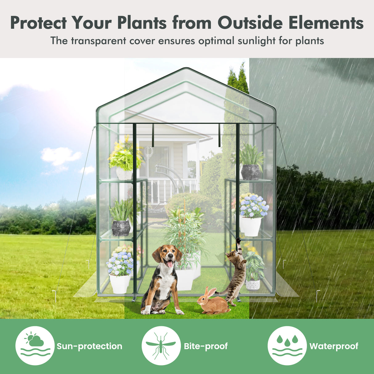 Walk-in Greenhouse with 3 Tiers 8 Shelves PVC Cover Roll-up Zippered Door-Transparent