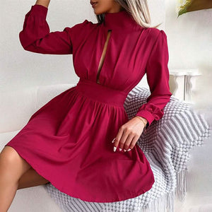 Women's A Line Turtleneck Mini Dress