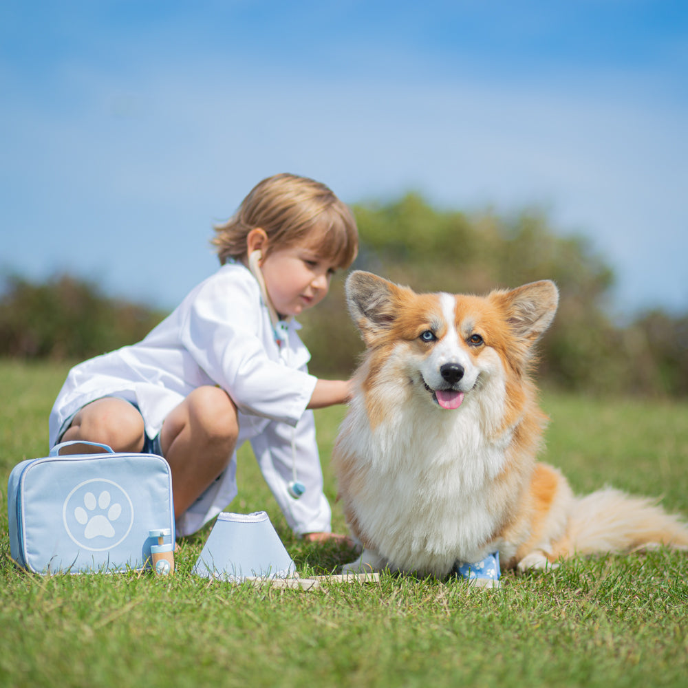 Veterinary Set by Bigjigs Toys US