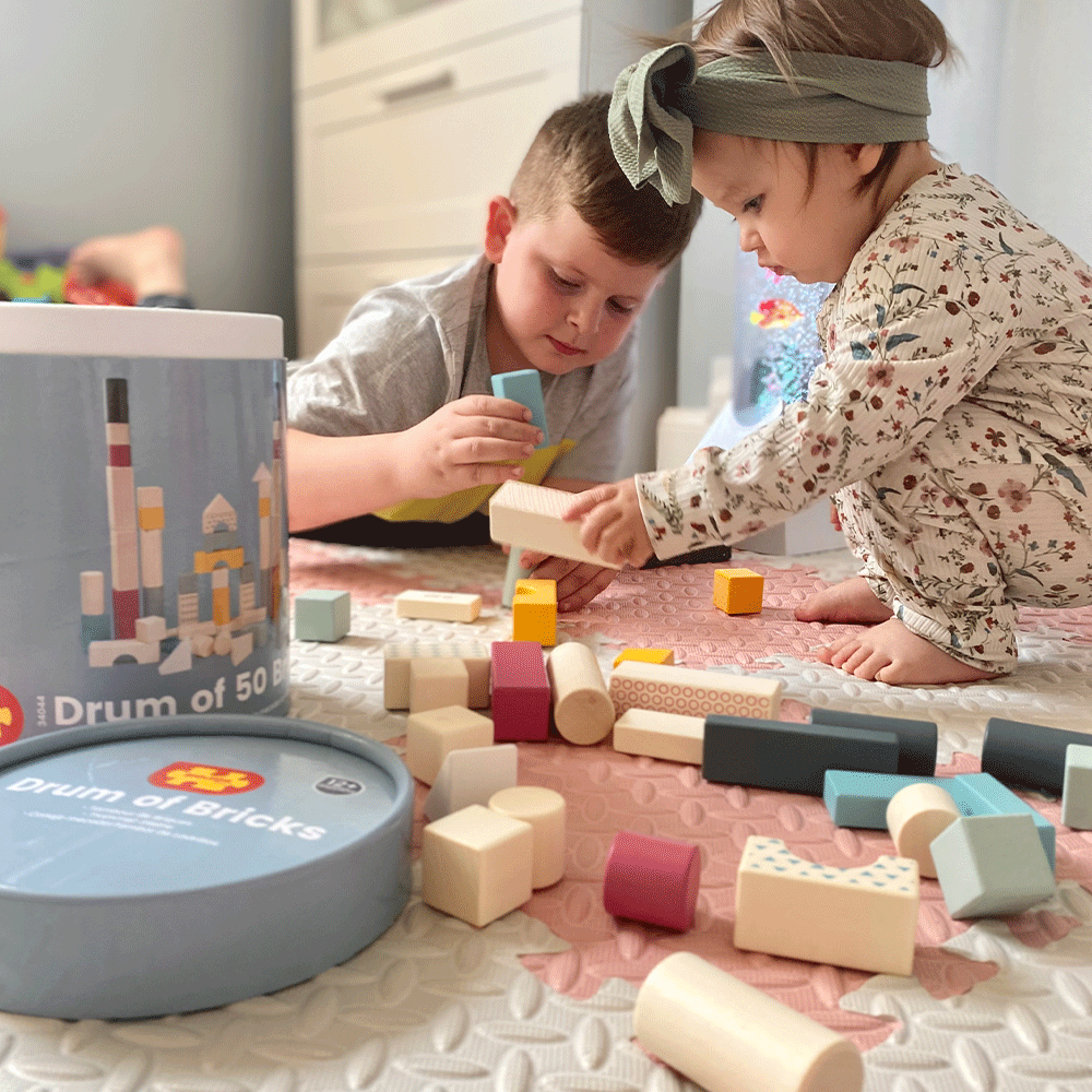 FSC Drum of 50 Bricks by Bigjigs Toys US
