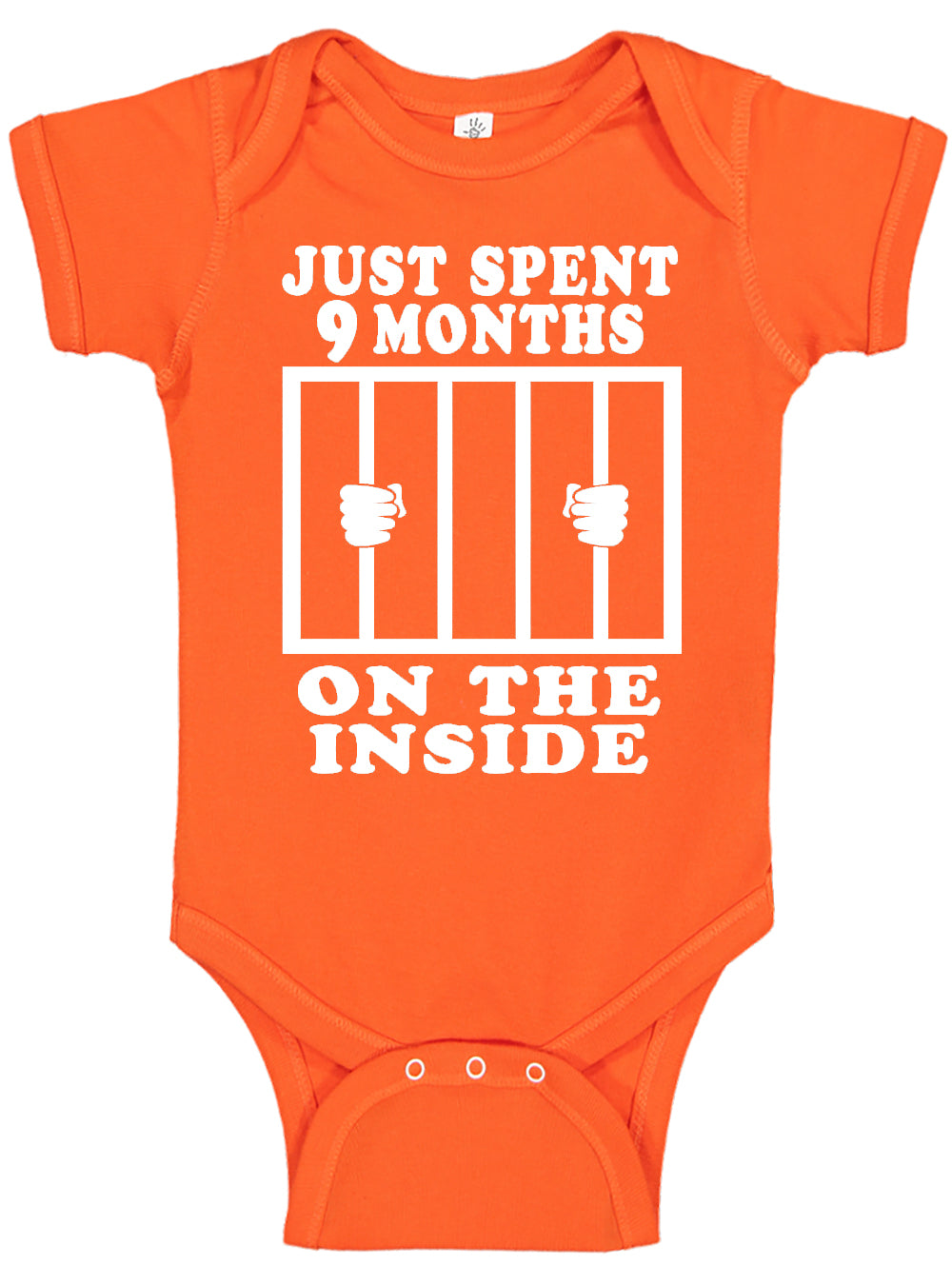 9 Months Inside Bodysuits - Aiden's Corner