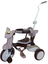 iimo 3-in-1 Foldable Tricycle with Canopy by iimo USA store