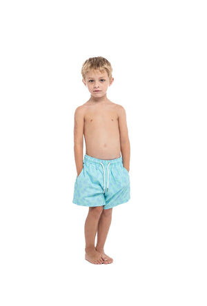 Pineapple Aqua by Bermies