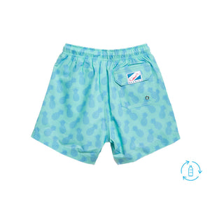 Pineapple Aqua by Bermies