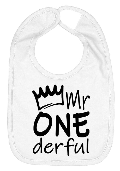 Mr One-derful First Birthday Smash Cake Bib - Aiden's Corner