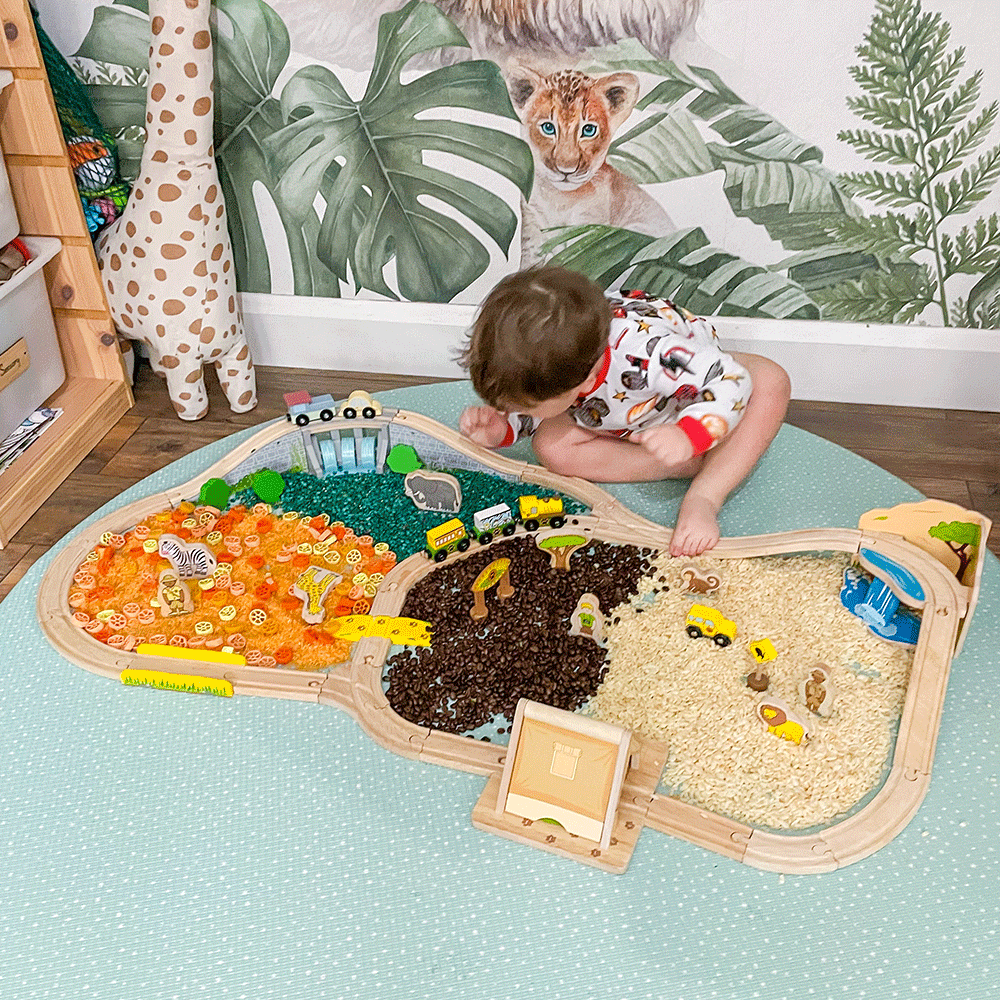 Safari Train Set by Bigjigs Toys US