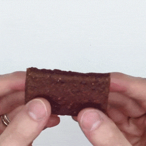 Skout Organic Kids Fruit Bar Variety Pack by Skout Organic