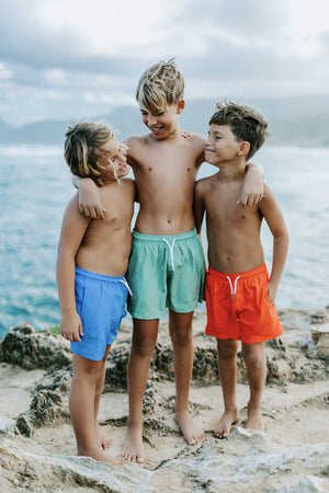 Red to Shark by Bermies