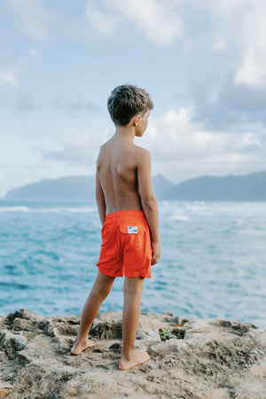 Red to Shark by Bermies